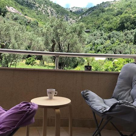 Vila V Lux Apartments Petrovac エクステリア 写真
